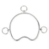 Chifney Horse Bit